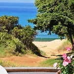 Tetrafylli Guest house Andros Town