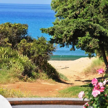 Tetrafylli Guest house Andros Town