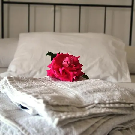Guest house Tetrafylli *